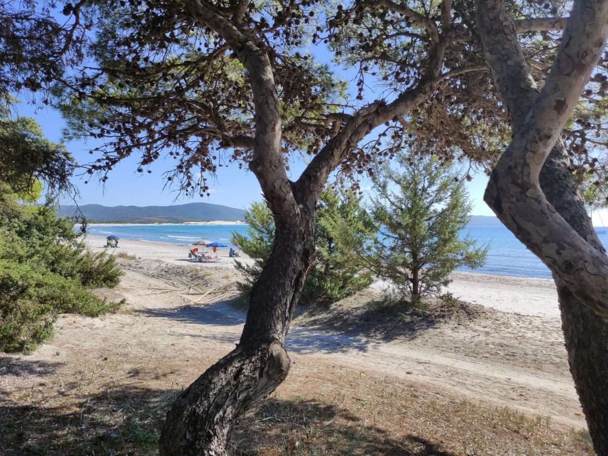 Vila Dune Bianche Porto Pino Exteriér fotografie