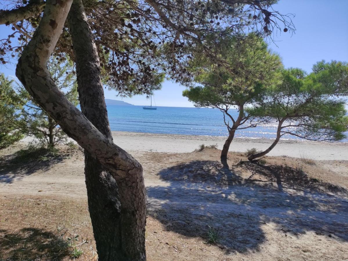 Vila Dune Bianche Porto Pino Exteriér fotografie